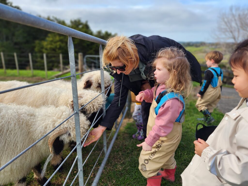 Feeding Sheep at Farm School