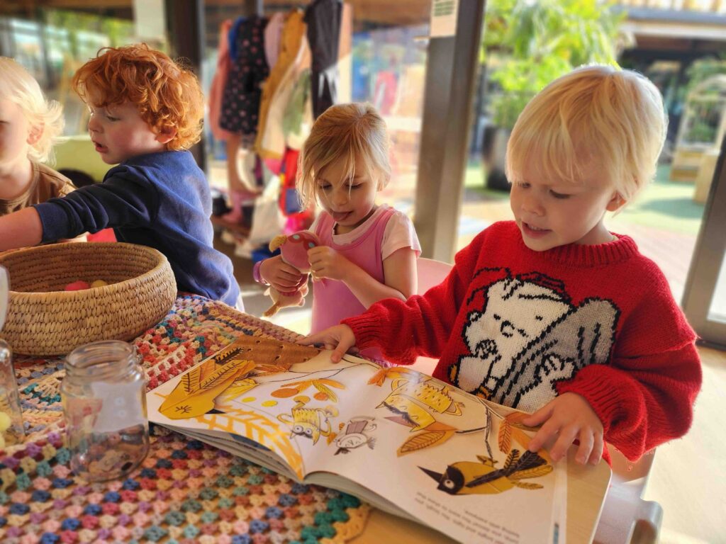 Preschool literacy and numeracy at Kakapo Creek - we help children develop a love for books and reading